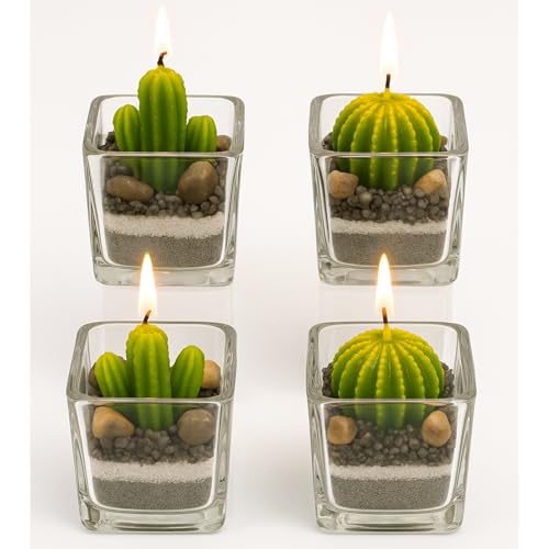 damaloo 4x Kaktus Kerzen Set im Glas – 4er Set Kakteen Kerze Deko Grün – Mini Kerzenset - Kaktuskerzen im Glas - Kleine Teelichter in Kaktusform – Sukkulenten Dekoration für Frauen & Männer von damaloo