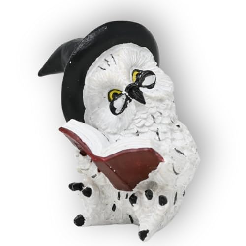 damaloo Magische Eulenfigur 7 cm – Schneeeule mit Zauberhut & Brille rot – Schnee Eule für Wohnzimmer, Schlafzimmer, Bücherregal – Eulen Deko Figur – Balkon Dekoration – Fantasy Eule Deko von damaloo