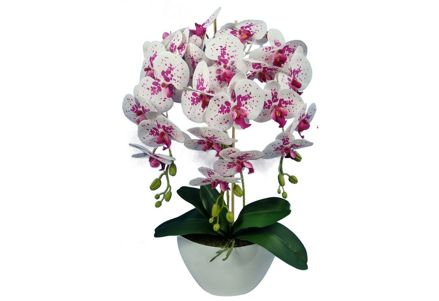 Kunstblume 3pgof Orchidee, damich, Höhe 60 cm, Künstliche Orchidee Höhe ca. 60cm Kunstblume 3pgof Orchidee, damich, Höhe 60 cm, Künstliche Orchidee Höhe ca. 60cm von damich