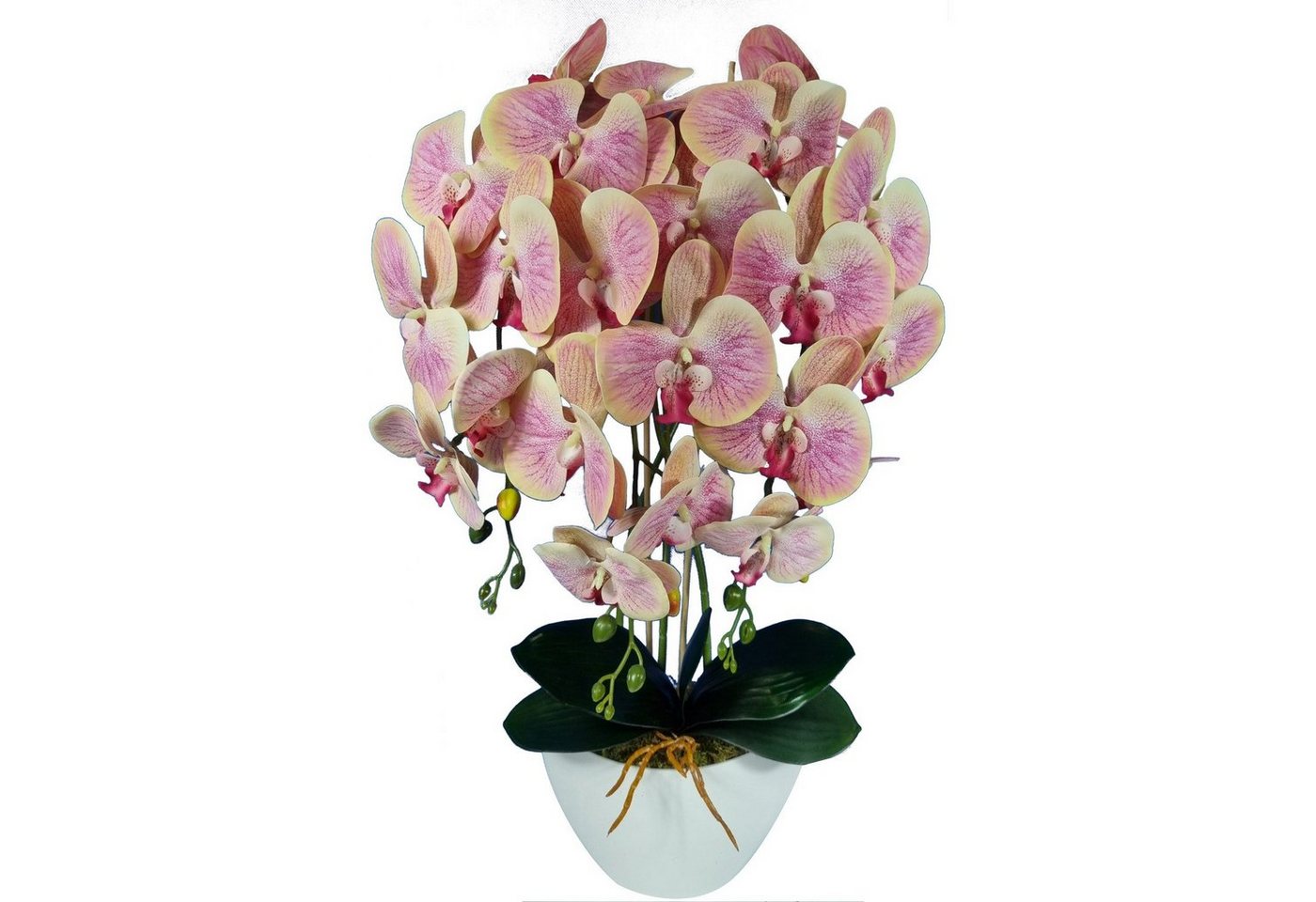Kunstblume Orchidee, damich, Höhe 60 cm, Künstliche Orchidee 60 cm von damich