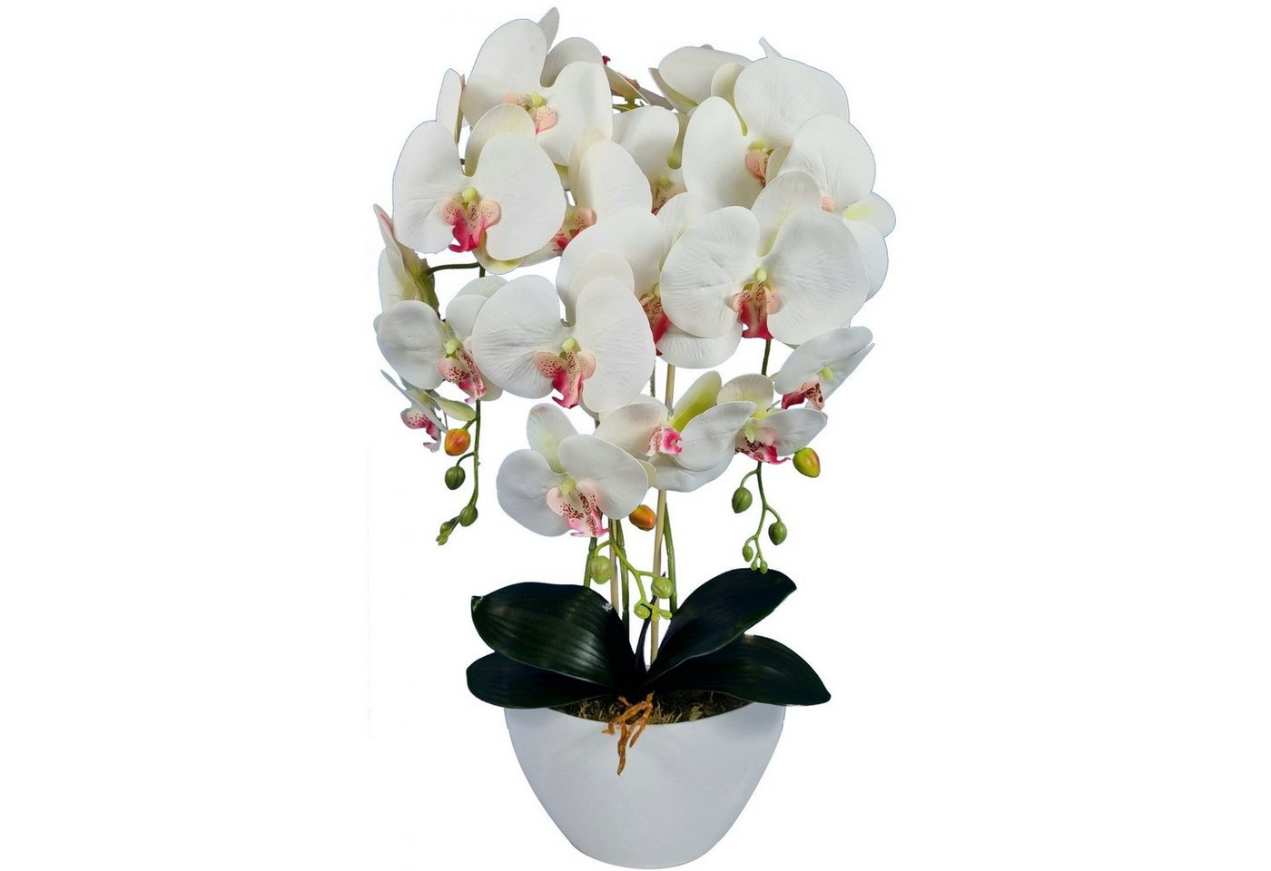 Kunstblume Orchidee, damich, Höhe 60 cm, Künstliche Orchidee 60 cm von damich