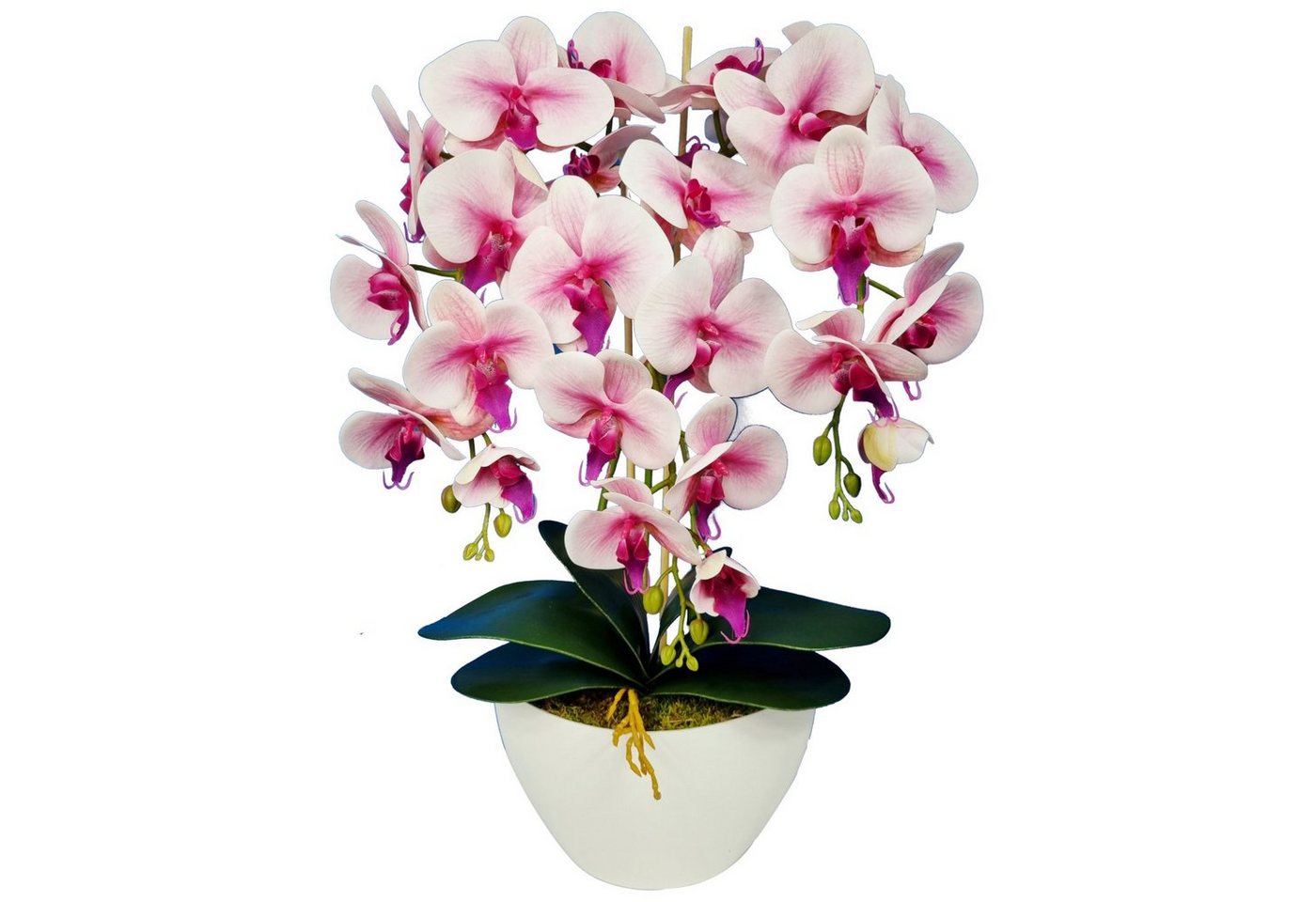 Kunstblume Orchidee, damich, Höhe 60 cm, Künstliche Orchidee im Blumentopf von damich