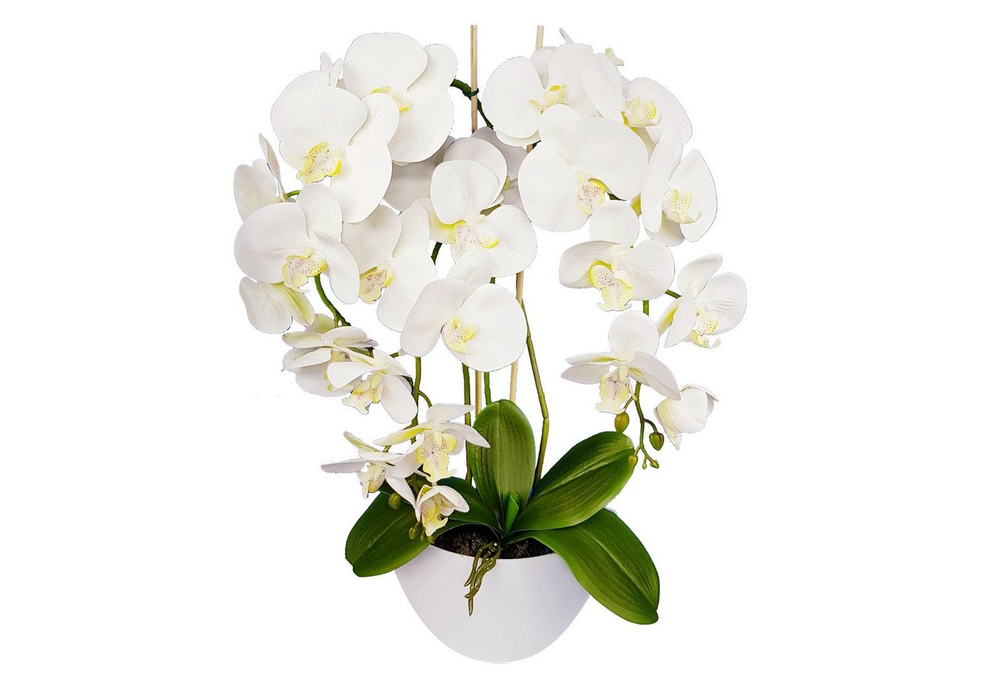 Kunstblume Orchidee, damich, Höhe 60 cm, Künstliche Orchidee im Blumentopf von damich