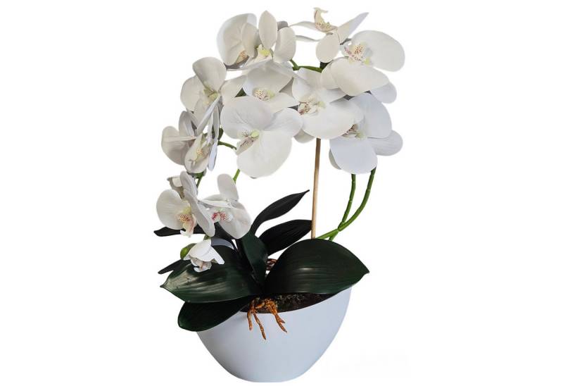 Kunstorchidee Künstliche Orchidee im Topf Kunstblumen Kunstpflanzen 50 cm, damich, Höhe 50 cm, Künstliche Orchidee im Topf 50 cm von damich