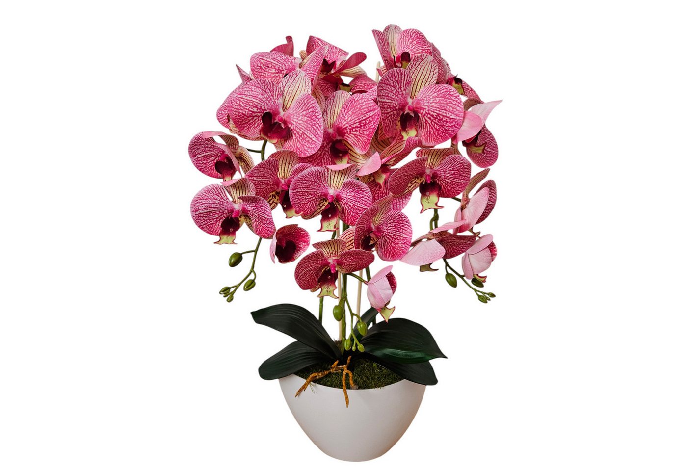 Kunstorchidee Orchidee, damich, Höhe 60 cm, Künstliche Orchidee 3-stämmige Blumen wie lebendig Kunstorchidee Orchidee, damich, Höhe 60 cm, Künstliche Orchidee 3-stämmige Blumen wie lebendig von damich