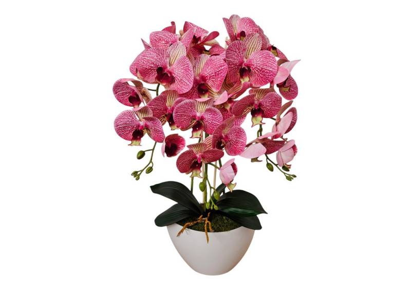 Kunstorchidee Orchidee, damich, Höhe 60 cm, Künstliche Orchidee 3-stämmige Blumen wie lebendig von damich