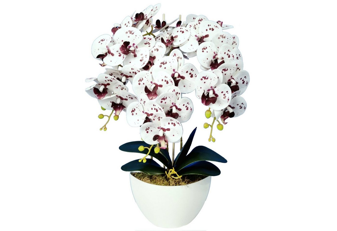 Kunstorchidee Orchidee, damich, Höhe 60 cm, Künstliche Orchidee im Blumentopf Kunstorchidee Orchidee, damich, Höhe 60 cm, Künstliche Orchidee im Blumentopf von damich