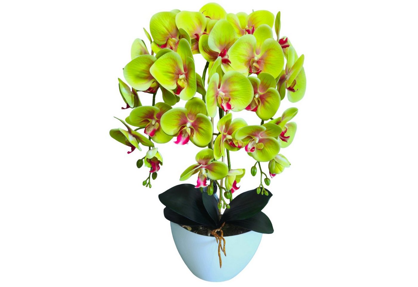 Kunstorchidee Orchidee, damich, Höhe 60 cm, Künstliche Orchideenblumen Orchidee grün von damich