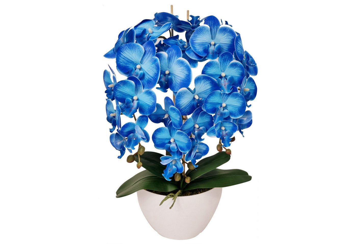 Kunstorchidee Orchidee, damich, Höhe 60 cm, Künstliche Orchideenblumen wie lebende 60 cm Kunstorchidee Orchidee, damich, Höhe 60 cm, Künstliche Orchideenblumen wie lebende 60 cm von damich