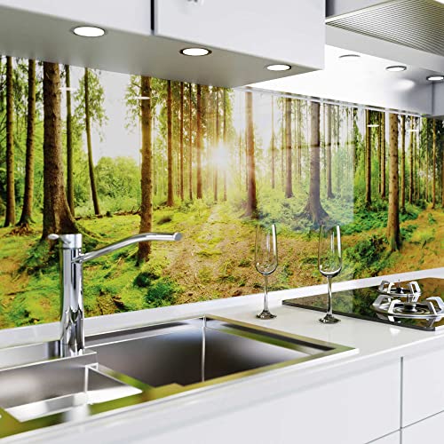 danario Küchenrückwand selbstklebend - Glasoptik - Spritzschutz Küche - versteifte PET Folie - 0,8 mm - Sonnenstrahlen im Wald - Materialmuster von danario