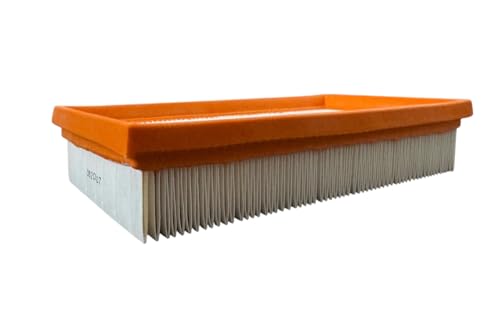 daniplus Flachfaltenfilter, Lamellenfilter passend für Nilfisk 1407215000 daniplus Flachfaltenfilter, Lamellenfilter passend für Nilfisk 1407215000 von daniplus