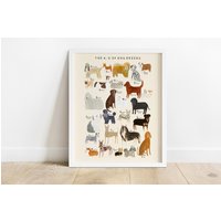 Hunderassen Alphabet Druck | A-Z Identifikationsposter Für Hunde Hunderassen Alphabet Druck | A-Z Identifikationsposter Für Hunde von darcieolleyshop