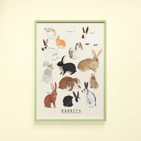 Kaninchen Art Print | Häschen-Kaninchenidentifikation Bunnies Rassen Lop Niederland Dwarf Rex Wall Poster Wohnkultur Kaninchen Art Print | Häschen-Kaninchenidentifikation Bunnies Rassen Lop Niederland Dwarf Rex Wall Poster Wohnkultur von darcieolleyshop