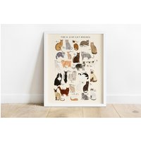 Katzenrassen Alphabet Druck | A-Z Identifikation Poster Illustration Katzen Rassen Haustier Kätzchen Geschenk von darcieolleyshop