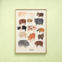 Schweinchen Typ Druck | Schweine Identifikation Bauernhof Rasse Oink Minipig Hängebauch Geschenk Kinder Wand Kunst Wohnkultur Poster von darcieolleyshop