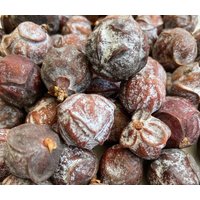 40 Wacholder-Zapfen Estrelinia-Zapfen Zum Basteln Und Dekorieren Herbstdeko von dasspatzennest