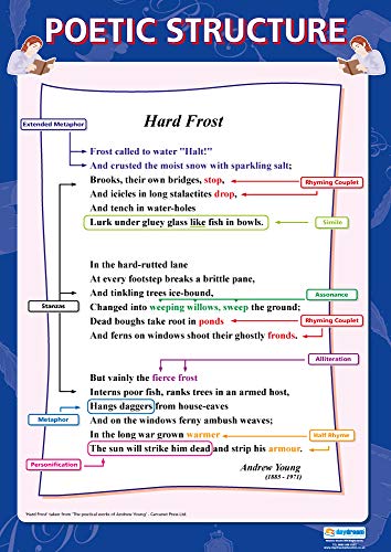 Daydream Education Poster Poetic Structure (in englischer Sprache), laminiertes Glanzpapier, 850 mm x 594 mm (A1), englische beleuchtete Klassenzimmer-Poster von Daydream Education