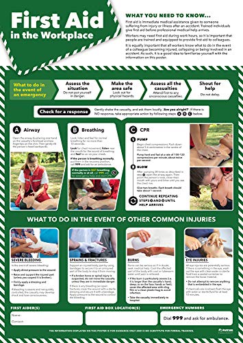 „First Aid in the Workplace“-Poster (englische Version) von Daydream Education
