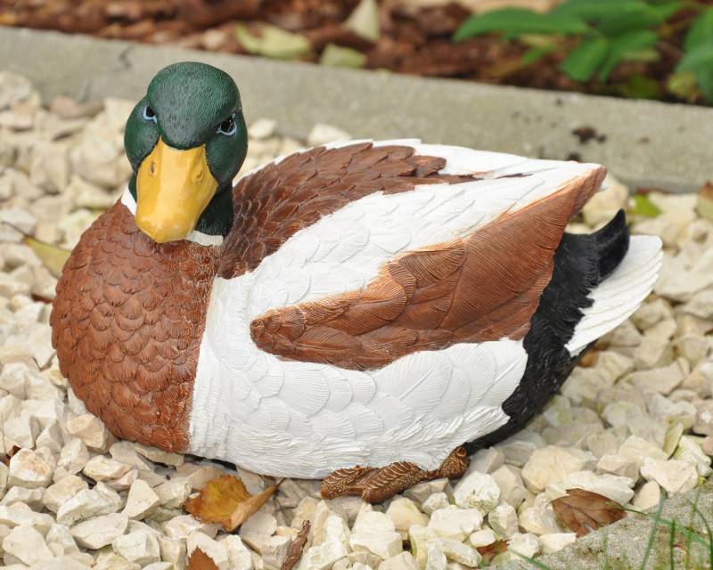 dazikemo Gartenfigur Dekofigur Gartenfigur Ente 22 x 14 x 14,5 cm von dazikemo