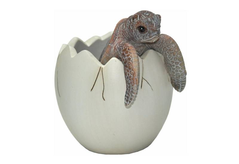 dazikemo Gartenfigur Stifthalter Kugelschreiberhalter Schildkröte - 8 x 8 x 9 cm von dazikemo