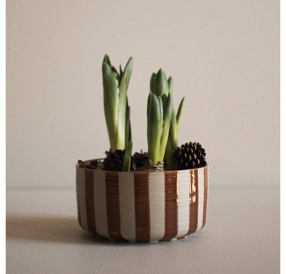 dbkd Dekoobjekt Schale Line - stripe nougat von dbkd