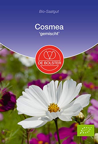 De Bolster Samen Cosmea Mischung, bienenfreundliche Schnittblume, 3 Packungen Bio-Saatgut von de Bolster