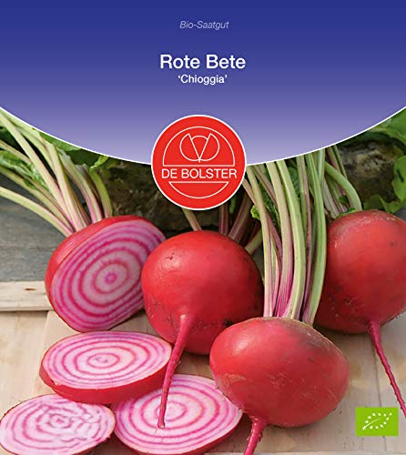 De Bolster Samen Rote Beete 'Chioggia', besonders zartes und süßes Aroma, 3 Packungen Bio-Saatgut von de Bolster