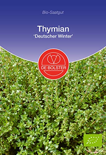 De Bolster Samen Thymian 'Deutscher Winter', tolle Pflanze für den Kräutergarten, 3 Packungen Bio-Saatgut von de Bolster