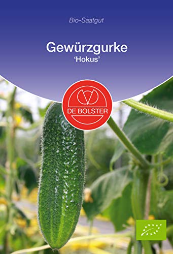 De Bolster Samen Gewürzgurke 'Hokus', stark wachsende Einlegegurke, 3 Packungen Bio-Saatgut von de Bolster