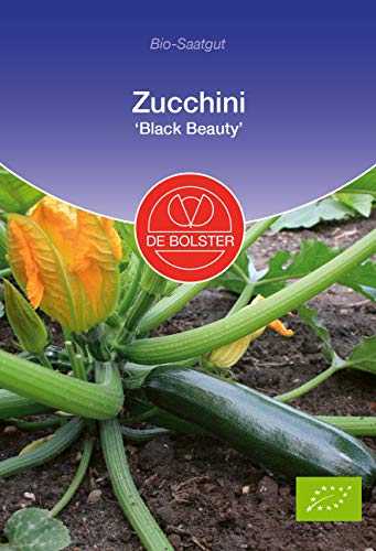 De Bolster Samen Zucchini 'Black Beauty', dunkelgrüne Sorte, 3 Packungen Bio-Saatgut von de Bolster