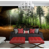 Bäume Höhle Wasserfall Wald Felsen Pflanzen Natur Tapete Wandbild Foto Zimmer Poster Wandverkleidung, Wanddekoration von decalsst