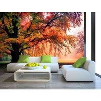 Baum Blätter Pflanzen Wald Herbst Fototapete Wandbild Home Poster Dekoration C Wandbedeckung, Wanddekoration von decalsst