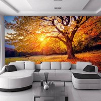 Baum Blätter Pflanzen Wald Herbst Fototapete Wandbild Home Poster Dekoration D Wandbedeckung, Wanddekoration von decalsst