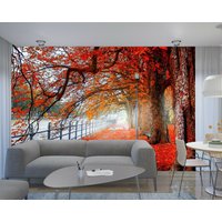 Baum Blätter Pflanzen Wald Herbst Fototapete Wandbild Home Poster Dekoration E Wandbedeckung, Wanddekoration von decalsst