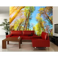 Baum Blätter Pflanzen Wald Herbst Fototapete Wandbild Home Poster Dekoration I Wandbedeckung, Wanddekoration von decalsst