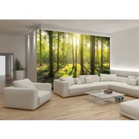 Baum Blätter Wald Fototapete Bild Sonniges Wandbild Home Schlafzimmer Dekoration Wandbedeckung Wanddekoration von decalsst