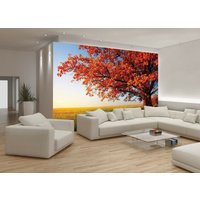 Herbst Baum Blätter Wald Foto Tapete Bild Haus Schlafzimmer Dekoration Wandverkleidung, Wanddekoration von decalsst