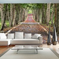 Leafy Natur Grün Weg Park Herbst Baum Tapete Wandbild Foto Poster Wandverkleidung Wanddekoration von decalsst