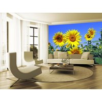 Sonnenblume Pflanze Himmel Baum Tapete Foto Wandbild Bild Schlafzimmer Dekoration Wandverkleidung, Wanddekoration von decalsst