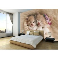 Süße Katze Tier Kätzchen Fototapete Home Wandbild Kinder Kinderzimmer Dekoration Wandbedeckung, Wanddekoration von decalsst