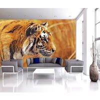 Tiger Tier Fototapete Home Wandbild Kinderzimmer Dekoration Wandbedeckung, Wanddekoration von decalsst