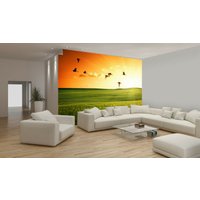 Vögel Tier Sonnenlicht Grünes Feld Tapete Wandbild Bild Foto Home Dekoration Wandbedeckung, Wanddekoration von decalsst