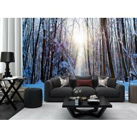 Weißer Schnee Winter Bäume Wald Farbe Tapete Wandbild Zimmer Poster Dekoration Wandbezug, Wanddekoration von decalsst