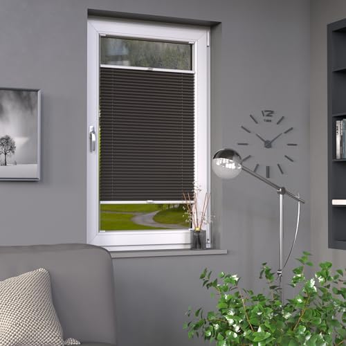 Deco-Raum Plissee auf Maß Dunkelgrau Fenster Plisseerollo Faltstore Jalousie Sonnenschutz Sichtschutz lichtdurchlässig Rollo für Fenster & Tür B:41-50 cm, H: 201-250 cm von deco-raum