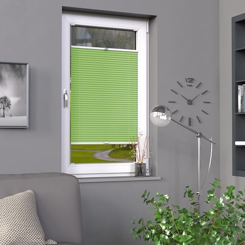Deco-Raum Plissee auf Maß Grün Fenster Plisseerollo Faltstore Jalousie Sonnenschutz Sichtschutz lichtdurchlässig Rollo für Fenster & Tür B:71-80 cm, H: 40-100 cm von deco-raum