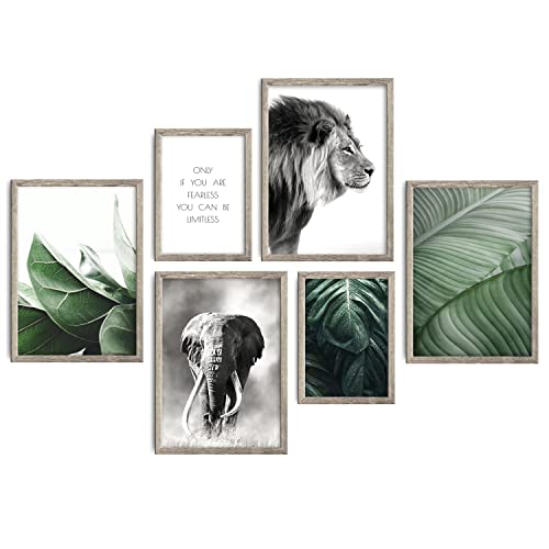 decomonkey | 6er Poster Set OHNE Bilderrahmen | Natur Pflanzen | 2 x DIN A4 & 4 x DIN A3 | Wohnzimmer Schlafzimmer Wandposter Blider Collage Modern Wanddeko Grün Grau Tiere Blatt Sprüche decomonkey | 6er Poster Set OHNE Bilderrahmen | Natur Pflanzen | 2 x DIN A4 & 4 x DIN A3 | Wohnzimmer Schlafzimmer Wandposter Blider Collage Modern Wanddeko Grün Grau Tiere Blatt Sprüche von decomonkey