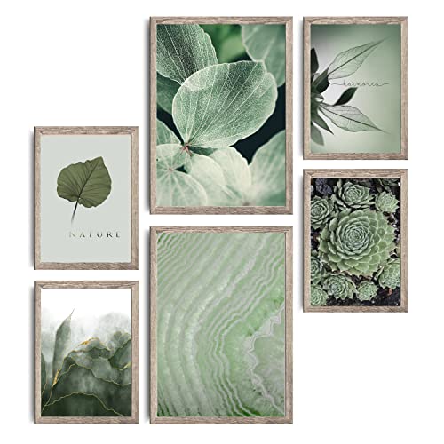 decomonkey | 6er Poster Set OHNE Bilderrahmen | Natur Pflanzen | 4 x DIN A4 & 2 x DIN A3 | Wohnzimmer Schlafzimmer Wandposter Blider Collage Modern Wanddeko Grün Abstrakt Blätter Text decomonkey | 6er Poster Set OHNE Bilderrahmen | Natur Pflanzen | 4 x DIN A4 & 2 x DIN A3 | Wohnzimmer Schlafzimmer Wandposter Blider Collage Modern Wanddeko Grün Abstrakt Blätter Text von decomonkey