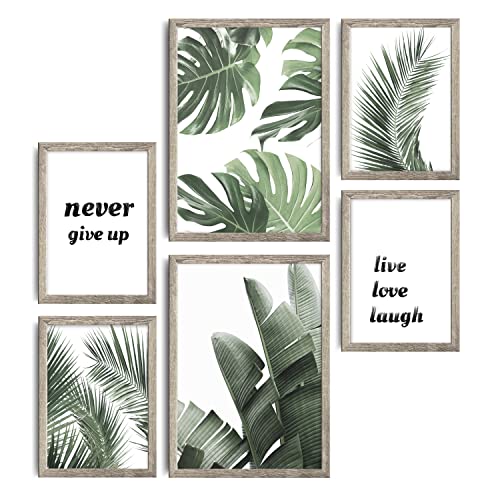decomonkey | 6er Poster Set mit schwarzem Rahmen | Natur Pflanzen | 4 x DIN A4 & 2 x DIN A3 | Wohnzimmer Schlafzimmer Wandposter Blider Collage Modern Wanddeko Grün Laub Sprüche Motivierende decomonkey | 6er Poster Set mit schwarzem Rahmen | Natur Pflanzen | 4 x DIN A4 & 2 x DIN A3 | Wohnzimmer Schlafzimmer Wandposter Blider Collage Modern Wanddeko Grün Laub Sprüche Motivierende von decomonkey