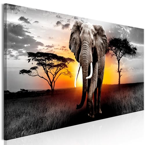 decomonkey Akustikbild Afrika Tiere 120x40 cm 1 Teilig Leinwand Modern Bilder Wandbilder XXL Schallschlucker Schallschutz Akustikdämmung Wandbild Deko Elefant Natur von decomonkey