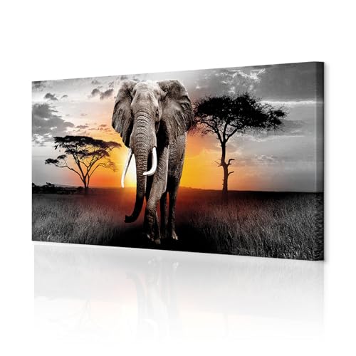 decomonkey Akustikbild Afrika Tiere 120x40 cm 1 Teilig Leinwand Modern Bilder Wandbilder XXL Schallschlucker Schallschutz Akustikdämmung Wandbild Deko Elefant Natur decomonkey Akustikbild Afrika Tiere 120x40 cm 1 Teilig Leinwand Modern Bilder Wandbilder XXL Schallschlucker Schallschutz Akustikdämmung Wandbild Deko Elefant Natur von decomonkey
